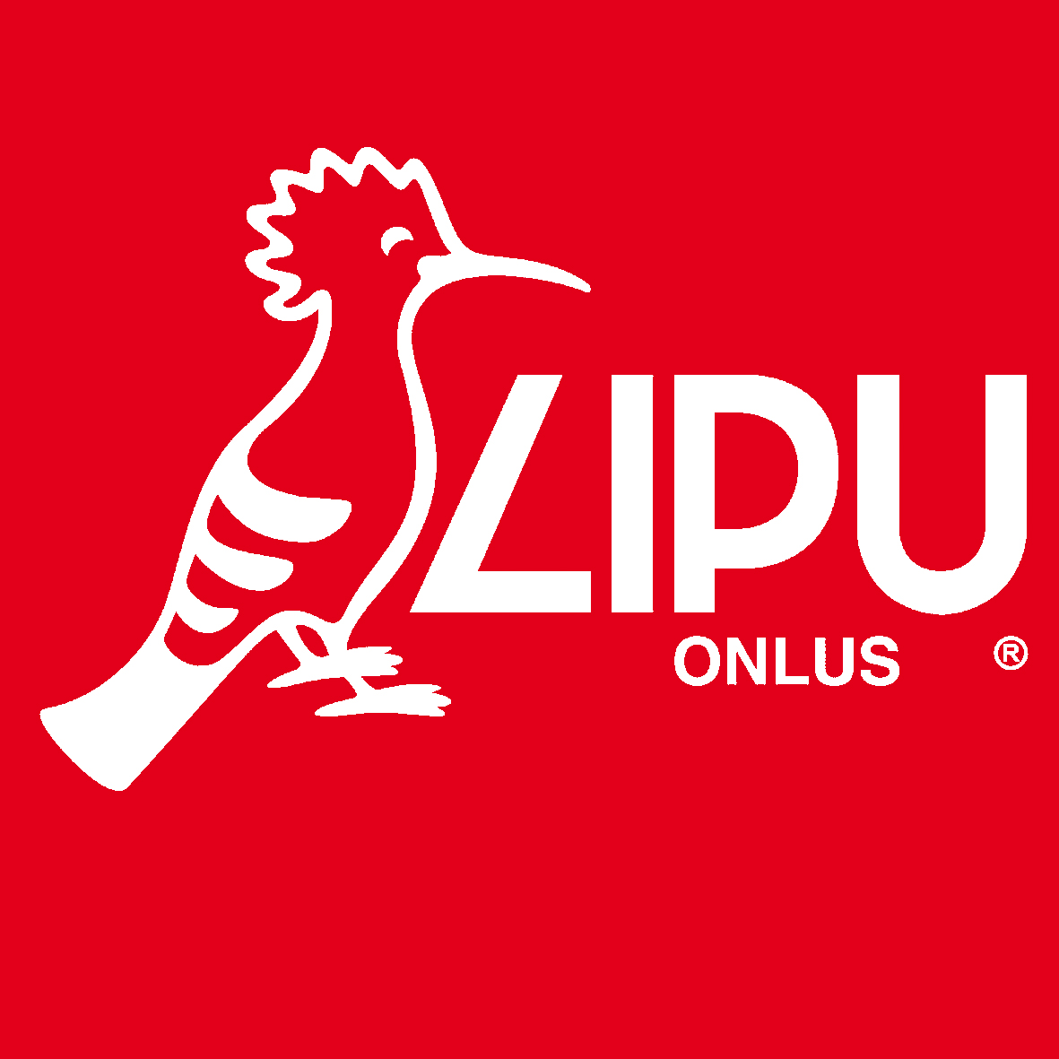 Lipu