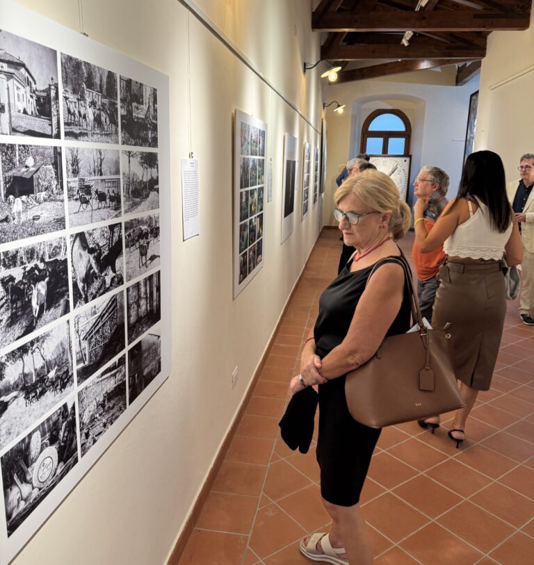 IMG_0905